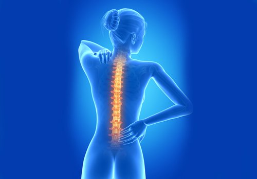 Ilustração da coluna vertebral