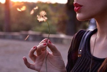 Leis da vida: viva sem aparecer, ame sem depender e fale sem ofender