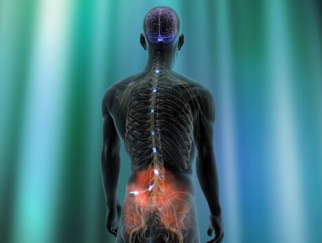 Dor neuropática na coluna