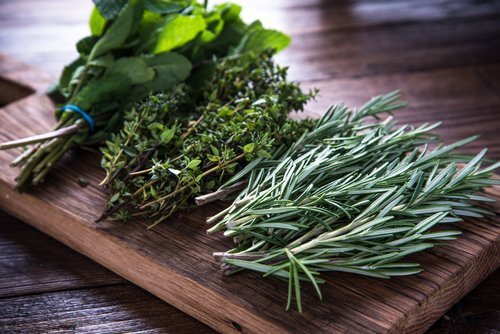 Plantas aromáticas para enfrentar os insetos em casa
