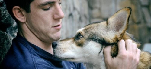 Homem com cachorro