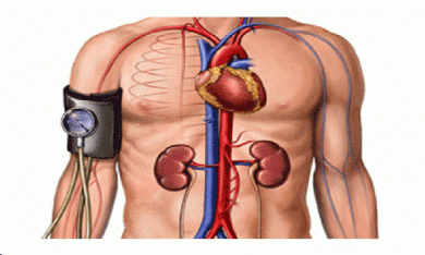 Pressão sanguínea: 7 alimentos para controlá-la