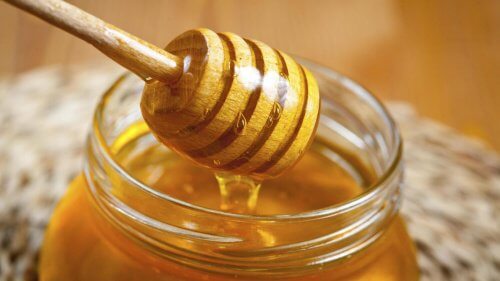 Mel de abelha para tratar a gastrite