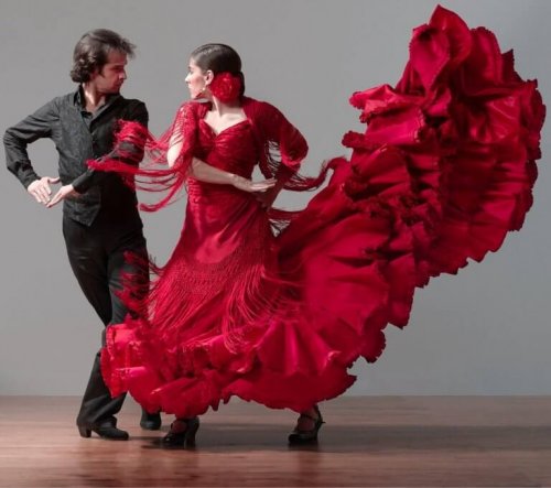 flamenco