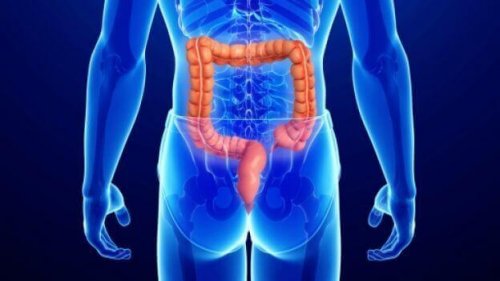 Imagem de cancer anal