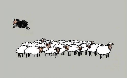 4 razões pelas quais ser a ovelha negra é saudável