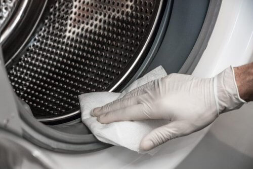 Como remover o mofo da lavadora de forma natural? Como remover o mofo da lavadora de forma natural?