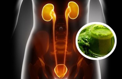2 sucos diuréticos que ajudam a limpar os rins