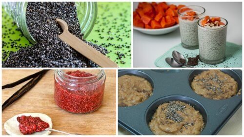5 maneiras de aproveitar os benefícios das sementes de chia