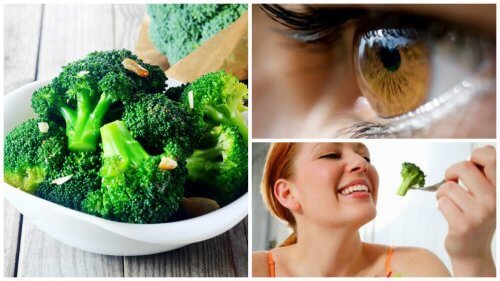 8 interessantes benefícios do brócolis para a saúde