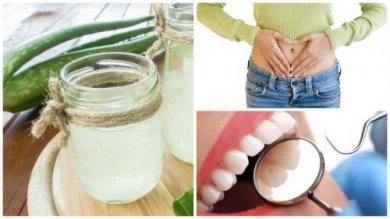 Suco de aloe vera: razões para consumi-lo