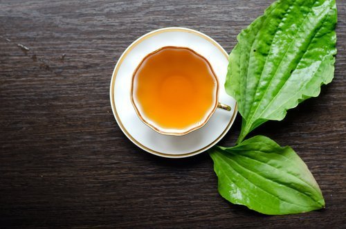 Chá feito com ervas laxantes