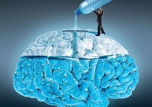 5 efeitos de beber água para cérebro