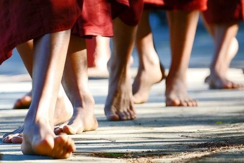 Aprenda a meditar enquanto caminha