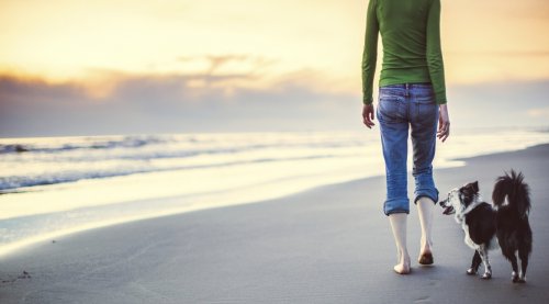 meditar-enquanto-passeia-com-cachorro