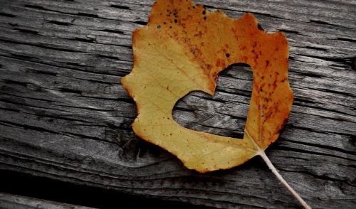 folha-de-outono-com-coracao
