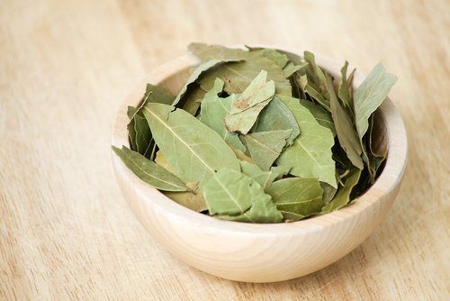 Vasilha com folhas de louro para preparar o óleo de louro