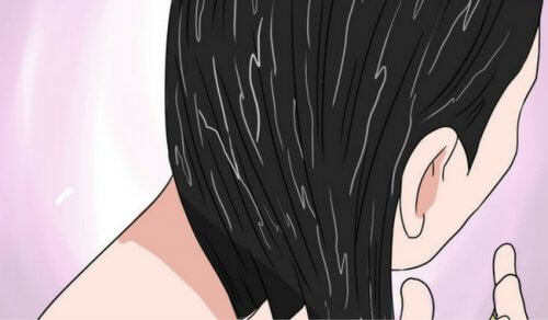 Saiba o que o óleo de coco pode fazer pelo seu cabelo Saiba o que o óleo de coco pode fazer pelo seu cabelo