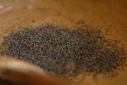 Sementes de papoula para serem acrescentadas às saladas
