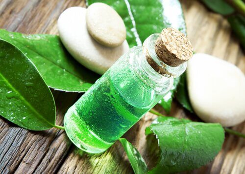 Oleo de árvore de chá para desinfetar frutas e verduras