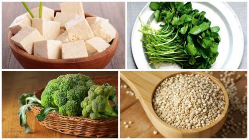 8 alimentos vegetais ricos em proteínas