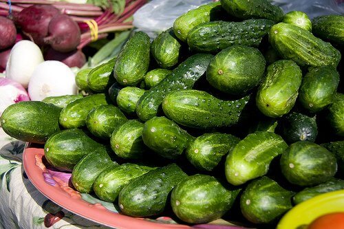 Pepinos na dieta