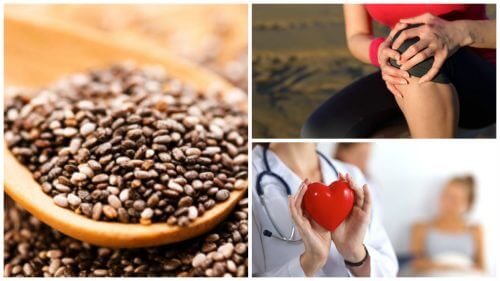 9 grandes benefícios oferecidos pelas sementes de chia 9 grandes benefícios oferecidos pelas sementes de chia