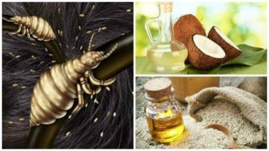 Combata os piolhos de forma eficaz com estes remédios caseiros