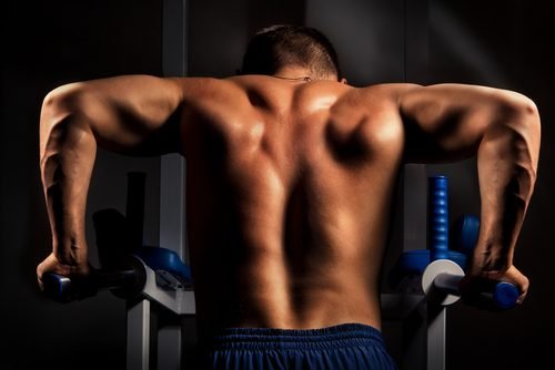 exercícios para fortalecer os músculos dos tríceps