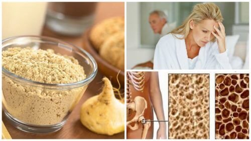 Os 7 interessantes benefícios da raiz de maca peruana para a mulher