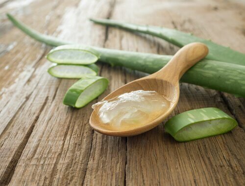 Aloe vera para aliviar as pernas inchadas
