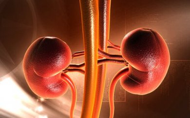 4 receitas para desintoxicar os rins
