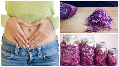 Prepare um chucrute roxo em casa para fortalecer a sua flora intestinal