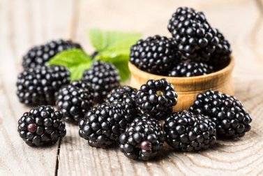 7 benefícios que a amora pode oferecer
