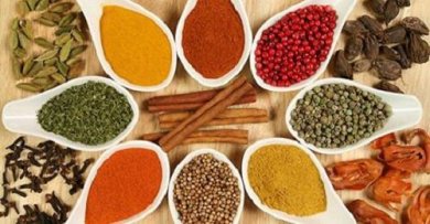 Elimine estas 5 coisas de casa e seja mais saudável