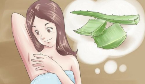 5 desodorantes naturais para dizer adeus ao mau cheiro nas axilas 5 desodorantes naturais para dizer adeus ao mau cheiro nas axilas