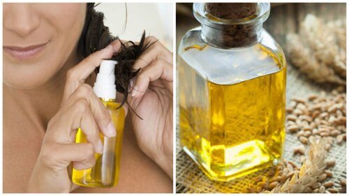6 benefícios do óleo de gérmen de trigo para o cabelo