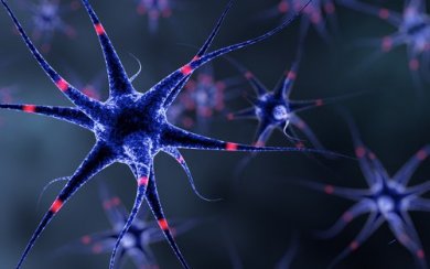 Sistema nervoso: 6 dicas para fortalecê-lo