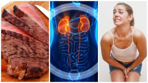 6 hábitos que podem estar afetando a sua saúde renal 6 hábitos que podem estar afetando a sua saúde renal