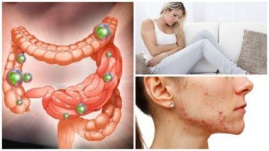 Bactérias intestinais fora de controle: saiba mais