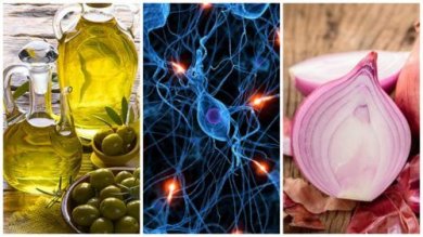 8 alimentos que você deve comer para ter um cérebro saudável