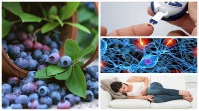 8 benefícios surpreendentes obtidos ao comer mirtilos