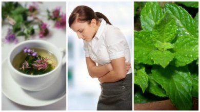 5 ervas curativas para aliviar a síndrome do intestino irritável