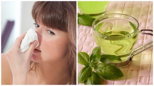Combata a congestão nasal com estes 5 remédios naturais
