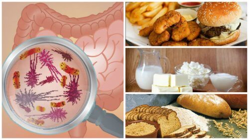 Os 7 alimentos que afetam a sua saúde intestinal