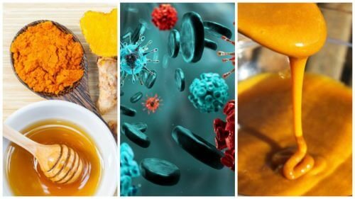 Prepare um antibiótico caseiro e fique longe das infecções
