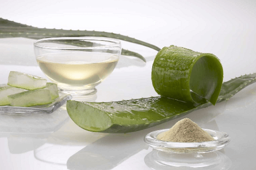 Aloe vera e argila para cuidar dos cabelos