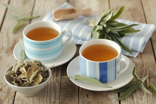 infusao-de-salvia
