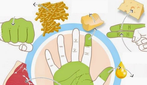 Suas mãos revelam quanto você necessita comer Suas mãos revelam quanto você necessita comer