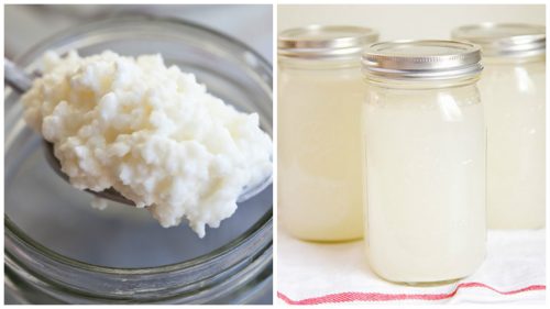 Como preparar kefir de água de coco para melhorar sua saúde